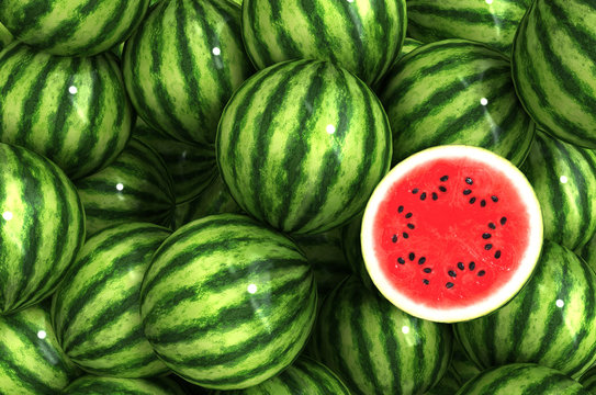 watermelon 3d render