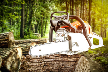 Autumn forest and chainsaw 