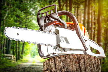 Autumn forest and chainsaw 