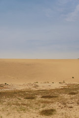 The dune scenery