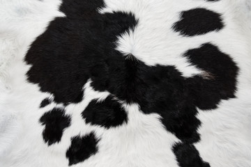 cow skin fur close up background