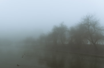 Fog over the Ljubljanica river