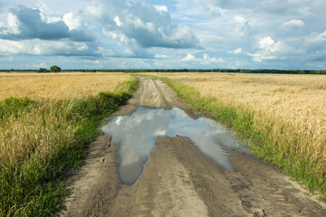 Reflection of clouds in a puddle on a dirt road through a grain field