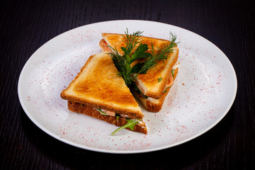 Delicious salmon sandwich