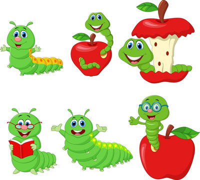 Cartoon funny Caterpillar collection set