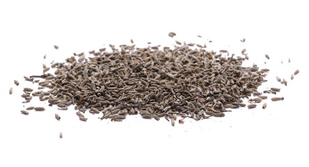 Dry lavender pile isolated on white background