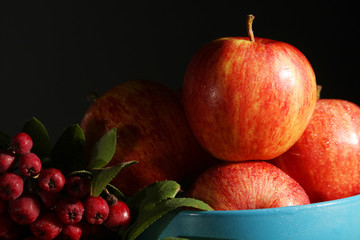 Apples and berries with autumn mood