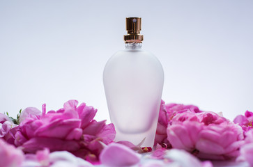 Perfume bottle in pink flower roses. Spring background with luxury aroma parfume. Beauty cosmetic fresh aromatic