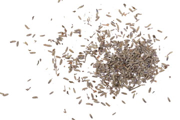 Dry lavender pile isolated on white background, top view