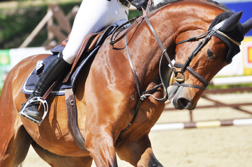 Reitsport, auf dem Parcours reiten Springpferd mit Reiter beim Reitturnier, im Dateil