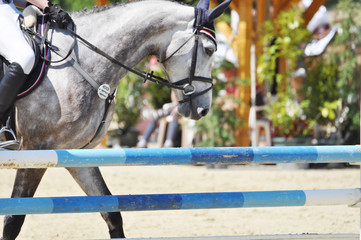 Reitsport, auf dem Parcours reiten Springpferd mit Reiter beim Reitturnier, im Dateil
