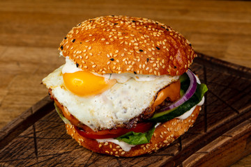 Tasty burger with meat