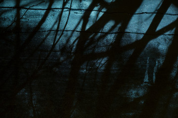 Scary silhouettes outside the window. Dark night
