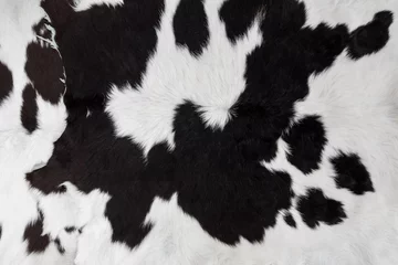 Fotobehang cow skin fur close up background © FrameAngel