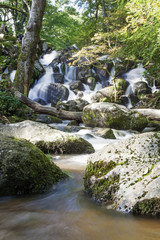 Swallow Falls waterfall, Dartmoor, Uk