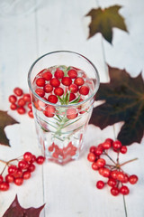 Hot tea near autumn leaves with viburnum berry, rosemary