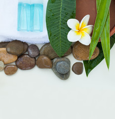 Fototapeta na wymiar Spa or wellness setting with tropical flowers, bowl of water, towel and cream tube