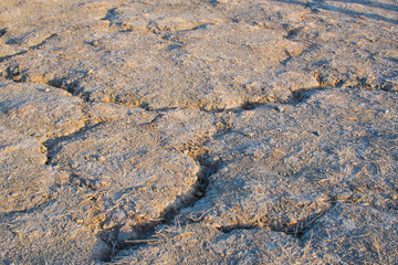 cracks on the ground