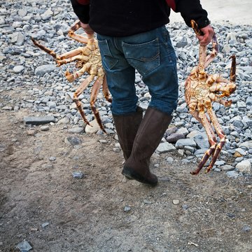 Fischer mit K&ouml;nigskrabben am Atlantik