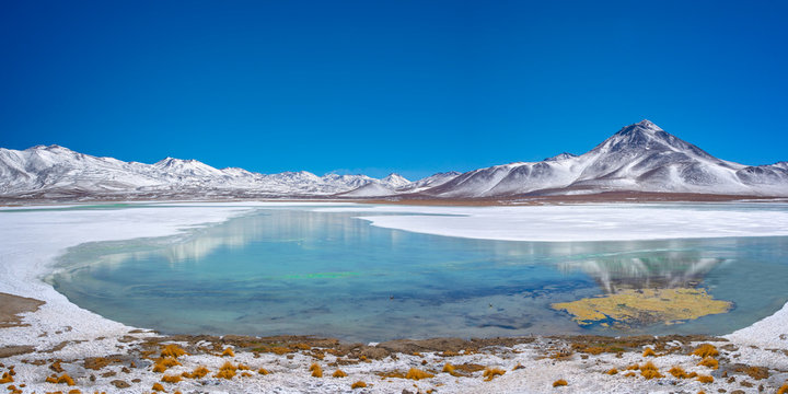 Laguna Blanca, Sud Lipez province, Potosi, Bolivia