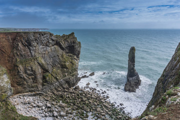 Elegug Stack Rocks on the Pembrokeshire Coast in South Wales