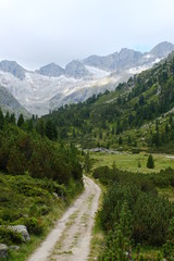 Obraz premium Bergpanorama im Zillertal