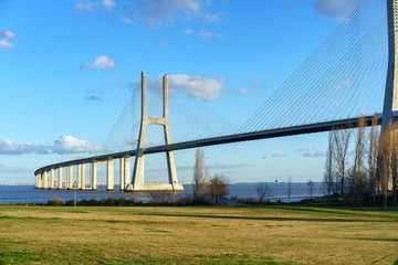 Peel and stick wall murals Vasco da Gama Bridge Ponte Vasco da Gama Bridge view from a garden park during the day
