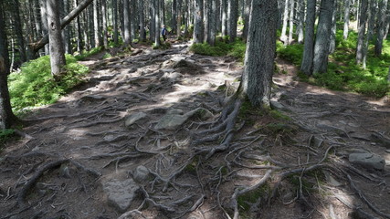 Hoverla