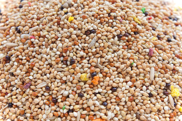Bird seed mix