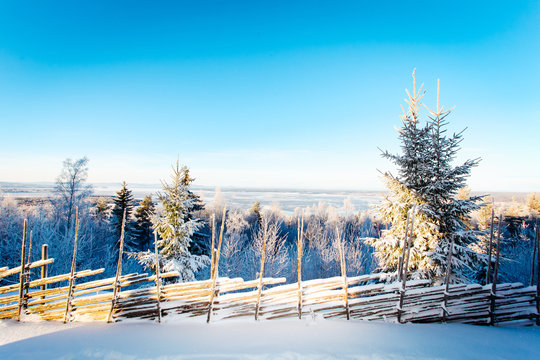 Vinterlandskap i Dalarna Sverige med snötäkta grantoppar 