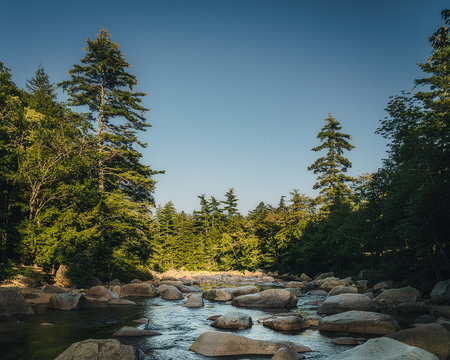 Saco River