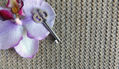 Background with orchid and old key