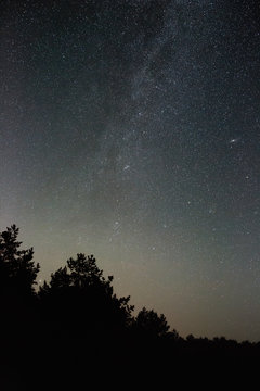 Starry night sky in the northern hemisphere. View of the Milky Way over the forest. Long exposure.