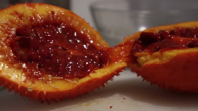 Fruit worms eating overripe red gac