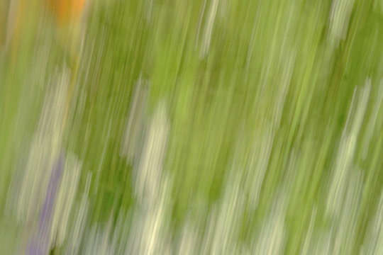 floral abstraction with green  vertical line, background;