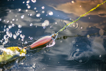 Old plastic spinning bait catching fishes in water. Splashes, water drops around. Calm water background. Fishing equipment. Favorite leisure activity for men at the weekend