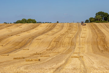 A field in Sussex being ploughed by a tractor, on a sunny summer's day