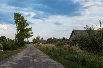countryside in Belarus. Summer landscape