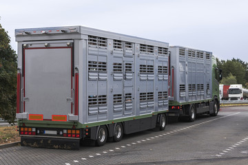 Moderner Viehtransporter mit Anhänger auf einem Autobahnparkplatz