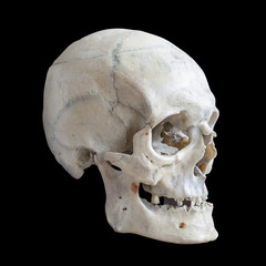 Human skull isolated on black.