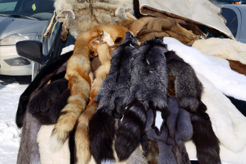 Skins of fur-bearing animals: fox, wolf, black-brown fox, Arctic fox