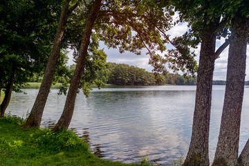 Beautiful colorful summer landscape, the river bank in the forest