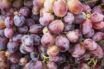 Large juicy ripe grapes on the market. Autumn harvest.