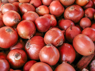 Fresh onion on street market in Sao Paulo