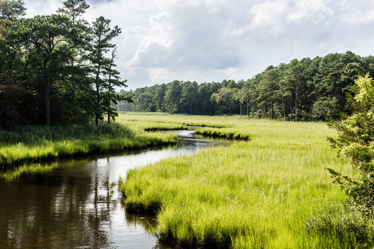 Winding Creek Through Salt Marsh