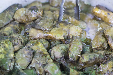 Dolma. National healthy delicious food in grape leaves close-up.