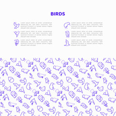 Birds concept with thin line icons set: dove, owl, penguin, sparrow, swallow, kiwi, parrot, eagle, humming bird, pink flamingo. Modern vector illustration, print media template.