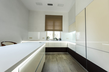 interior view of empty modern kitchen in light colors