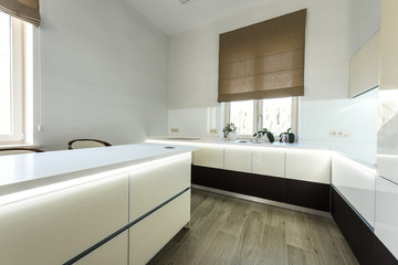 interior view of stylish kitchen in light colors