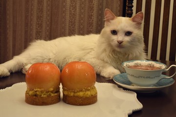 桃のタルトと猫